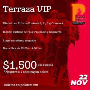 Terraza VIP Oriente 4