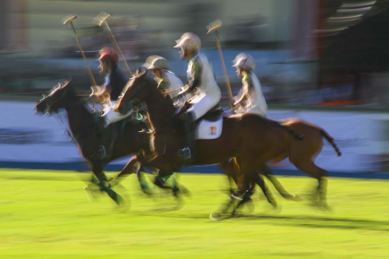 PoloFest 8
